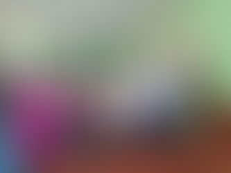 Consejo Municipal de Protección Civil.