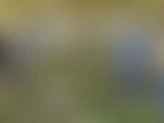 Seguimiento a las actividades de mejoramiento de las condiciones de los Balnearios en la Zona Rural del municipio de Jáltipan.