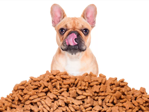 ¿Adiós al IVA en alimentos y medicinas de tu perro? Así beneficiaría a tu bolsillo