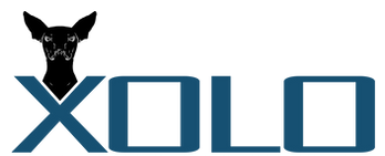 XOLO LOGO - BLUE BLANCO PNG.png