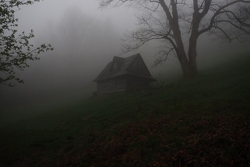 Abandoned Home