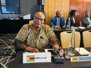 Zimbabwe Delegation Attends SADC Parliamentary Forum Session in Johannesburg
