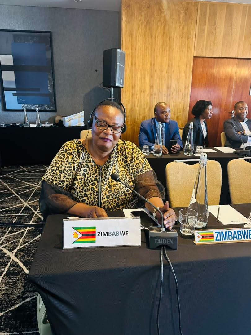 Zimbabwe Delegation Attends SADC Parliamentary Forum Session in Johannesburg