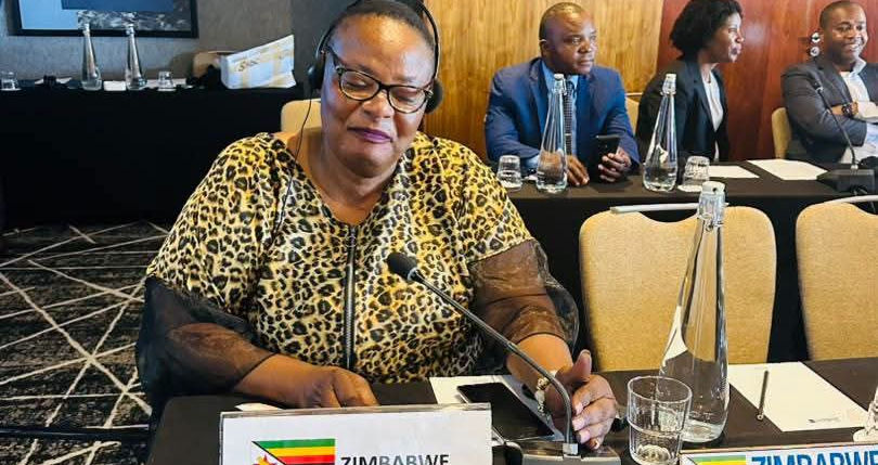 Zimbabwe Delegation Attends SADC Parliamentary Forum Session in Johannesburg
