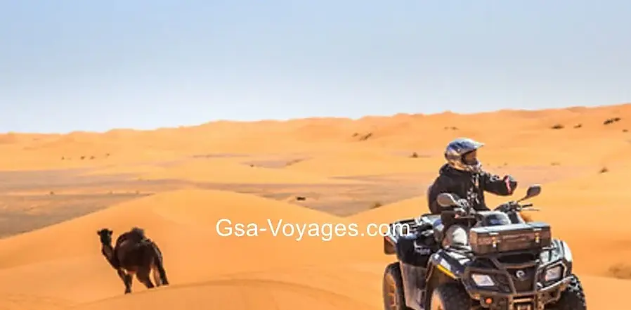 Quad and dromedary excursion in the desert at Ksar Ghilane