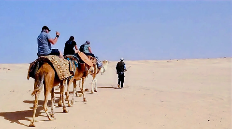 Camel ride in the Tunisian desert from Zarzis, with 3 people crossing the dunes around Ksar Ghilane, Tunisia.