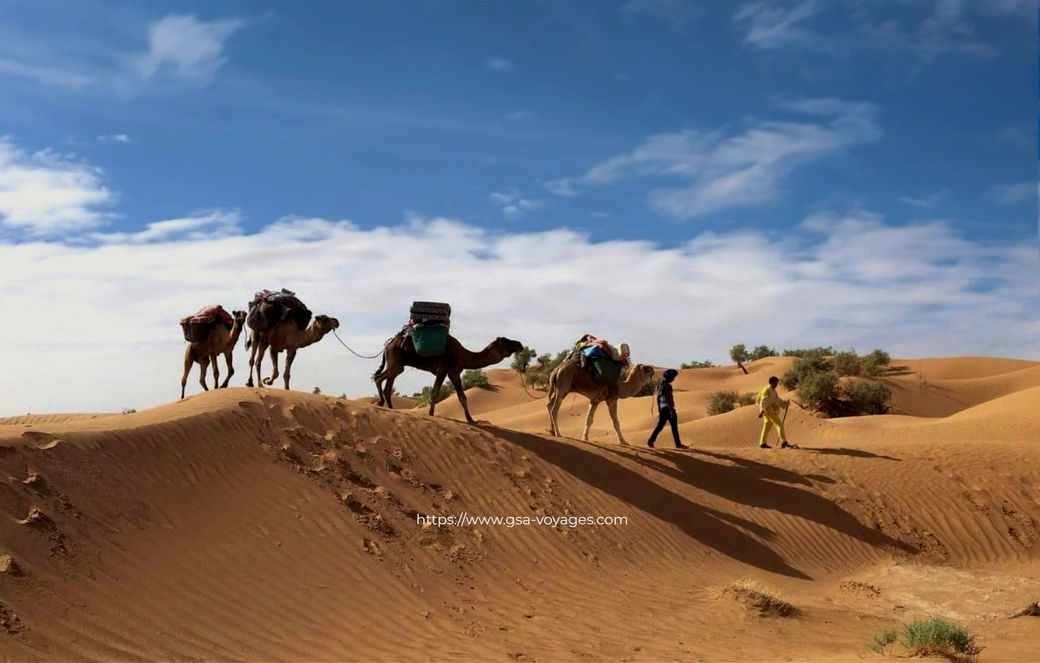 Randonnée chamelière - Trek dans le désert tunisien - Tunisie