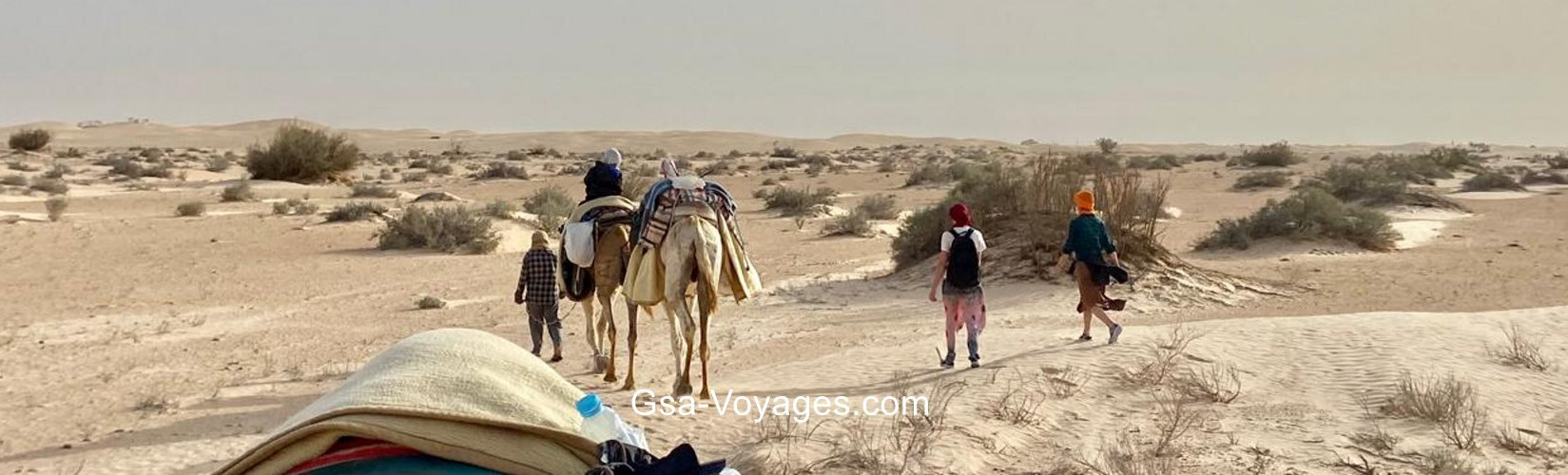 Trekking in Tunisia’s desert with camel