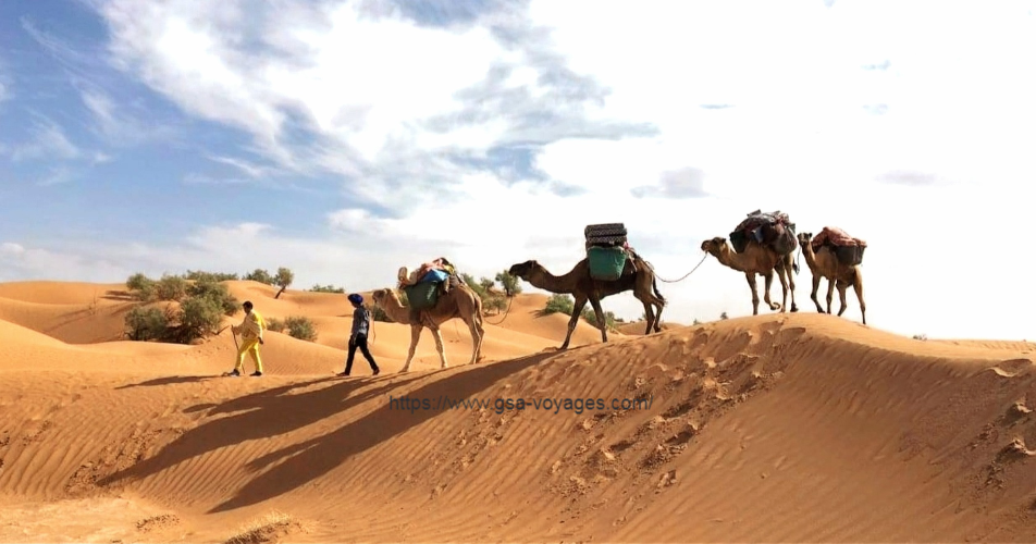 Camel trek in the desert - Tunisia