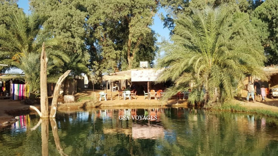 l'oasis de Ksar Ghilane en Tunisie