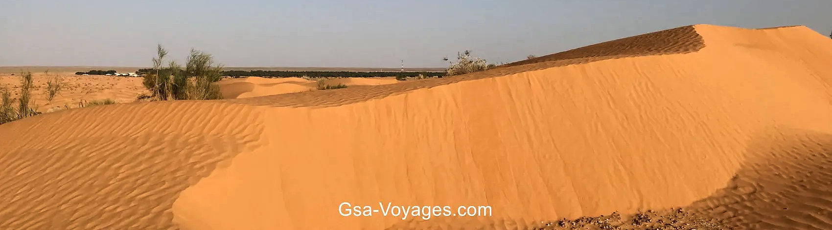 View of the Tunisian desert with Ksar Ghilane oasis in the distance