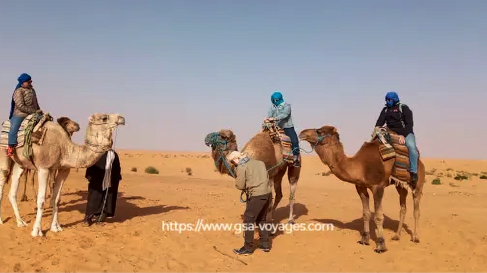 Départ Tozeur - Balade à dos de dromadaires dans le désert Tunisien - Tunisie