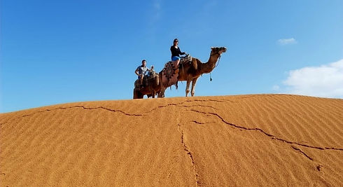 Camel ride from Gabès, with tourists exploring the dunes of Ksar Ghilane on a tour of Tunisia.