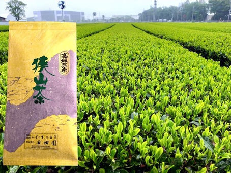 狭山ピロール茶からビタミンB12が 検出されました!!