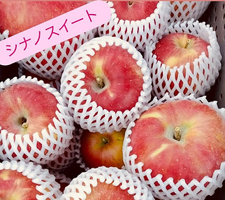 櫻井農園のピロールシナノスイートりんご