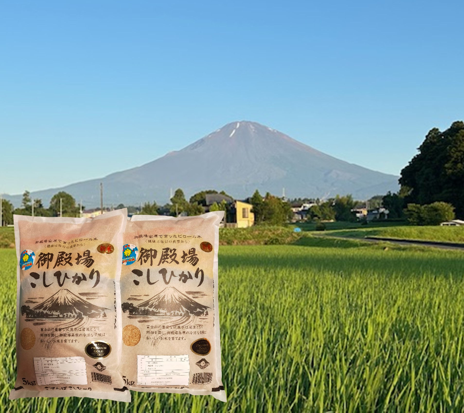 御殿場ピロール米20kg