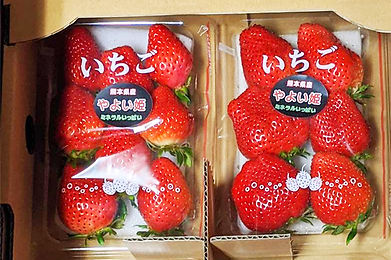 上村夢農園 ピロールいちごセット