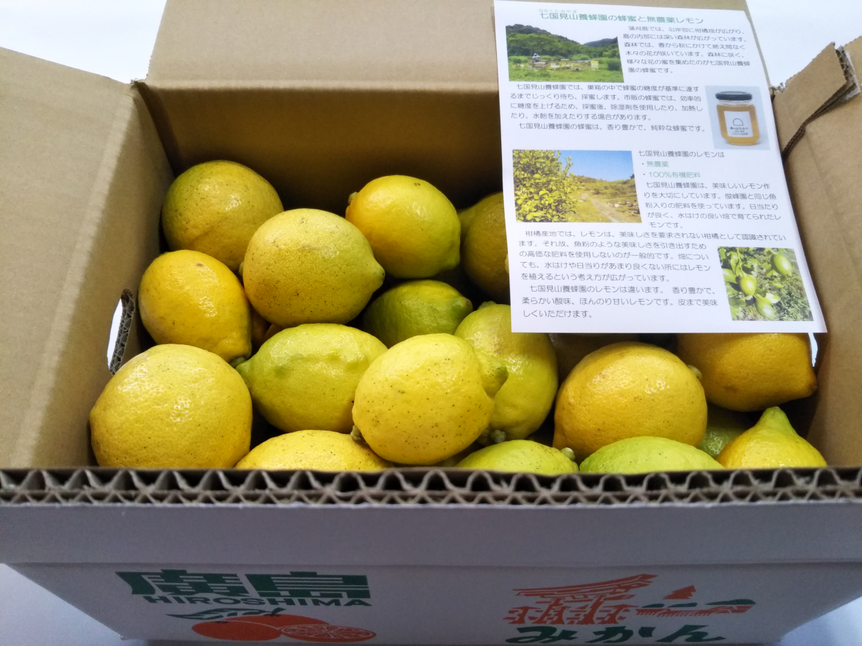 俊峰園無農薬レモン5ｋｇ