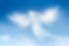 Angels and Angel Numbers with Diana Saturna