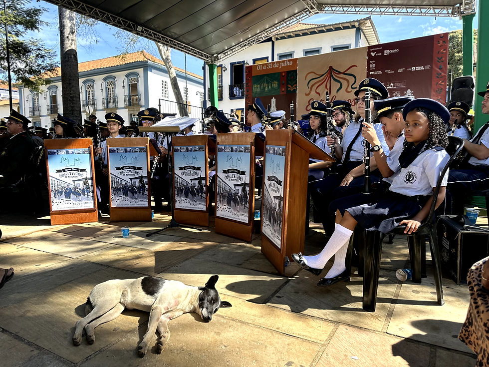 #PraTodosVerem: A imagem mostra músicos uniformizados da XV de Novembro. À frente, uma menina musicista com expressão séria. No chão, um cachorro branco com manchas pretas dorme tranquilo, iluminado pelo sol.