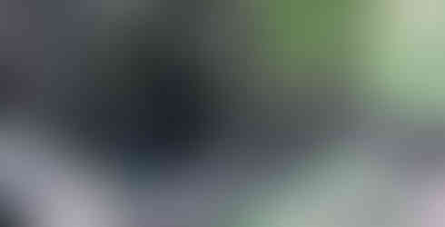 #ParaTodosVerem: Foto de uma caixa de esgoto cheia e suja, em estado de deterioração e repleta de vegetação ao redor.