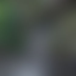 #ParaTodosVerem: A imagem mostra o esgoto caindo de uma canaleta de pedra com musgo e folhagens verdes ao redor.