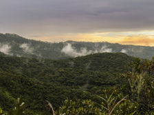 #ParaTodosVerem: Imagem de serras com vegetação verde, com nuvens que perpassam entre os montes durante o pôr do sol. Em primeiro plano, a vegetação também pode ser observada de forma mais próxima, à direita da imagem.