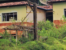 #ParaTodosVerem: fotografia de uma construção abandonada em Paracatu de Baixo, com paredes amarelas e telhado de telhas vermelhas. As janelas estão quebradas, e a fachada apresenta sinais de lama e de desgaste. Em frente à edificação, há uma estrutura metálica enferrujada e parcialmente coberta por galhos secos. A vegetação cresce ao redor e sobre a estrutura, com grama alta e arbustos invadindo o espaço.