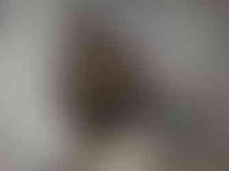 Para todos verem: Foto aproximada da bica do chafariz, feita de metal com formato ornamental em espirais. A peça está fixada na pedra esculpida, evidenciando a mistura de elementos decorativos e funcionais.