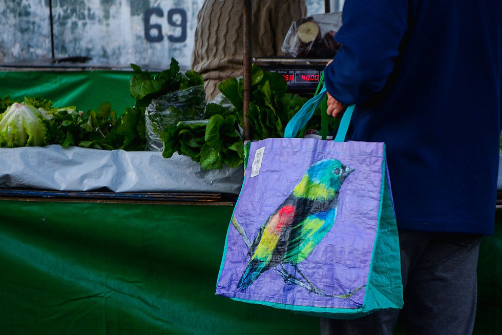 #ParaTodosVerem: A foto mostra a lateral de uma pessoa, vista de costas em uma feira, que segura uma sacola de compras com a estampa de um pássaro colorido. A pessoa veste uma blusa azul escura, e a sacola, com cores vibrantes como azul, verde, amarelo e vermelho, tem um fundo roxo. Ao fundo, uma banca de feira coberta por uma lona verde exibe vegetais, uma balança e, em uma parede, está pintado o número "69".
