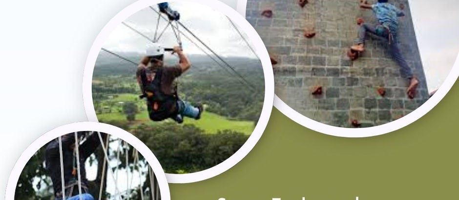 Ready to Elevate Your Trip? These Adventure Spots in Yelagiri Will Blow Your Mind