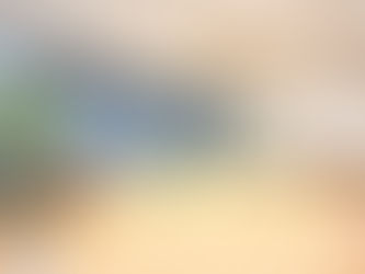 カラダメンテの特徴とは？