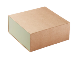 CARDBOARD BOX_edited.png