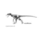 Thumbnail: Steel Deinonychus Claw Bottle Opener