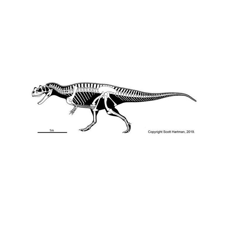 Thumbnail: Life sized Steel Ceratosaurus Skull
