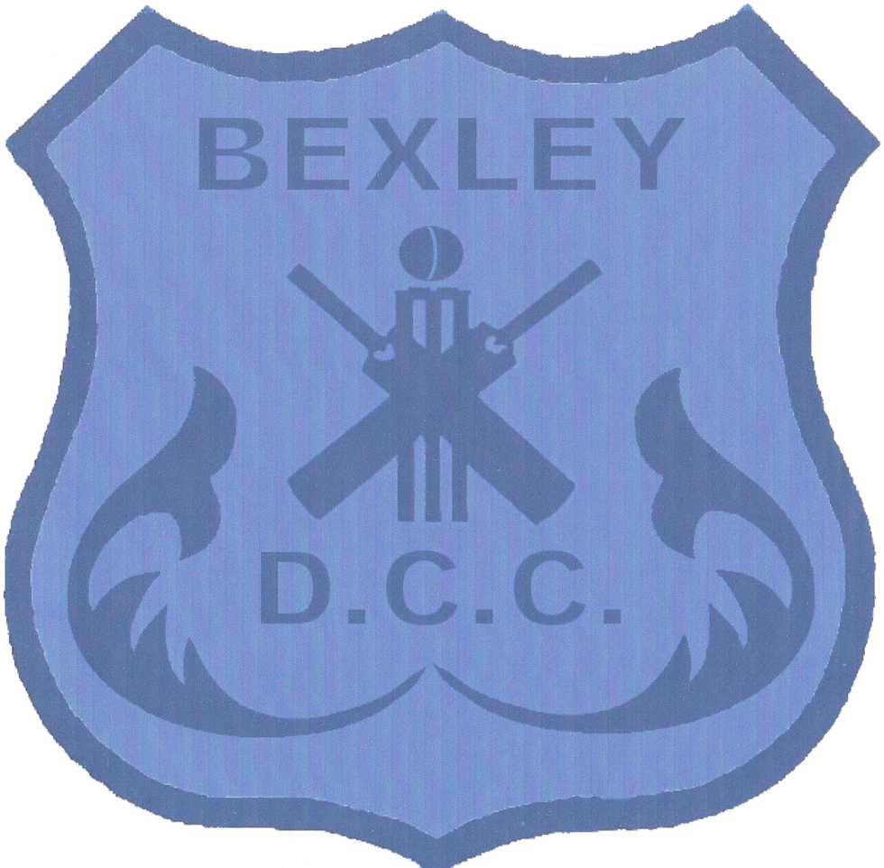 BDCC Logo V1_edited.png