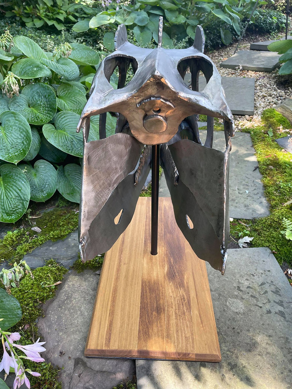 Thumbnail: Life sized Steel Ceratosaurus Skull