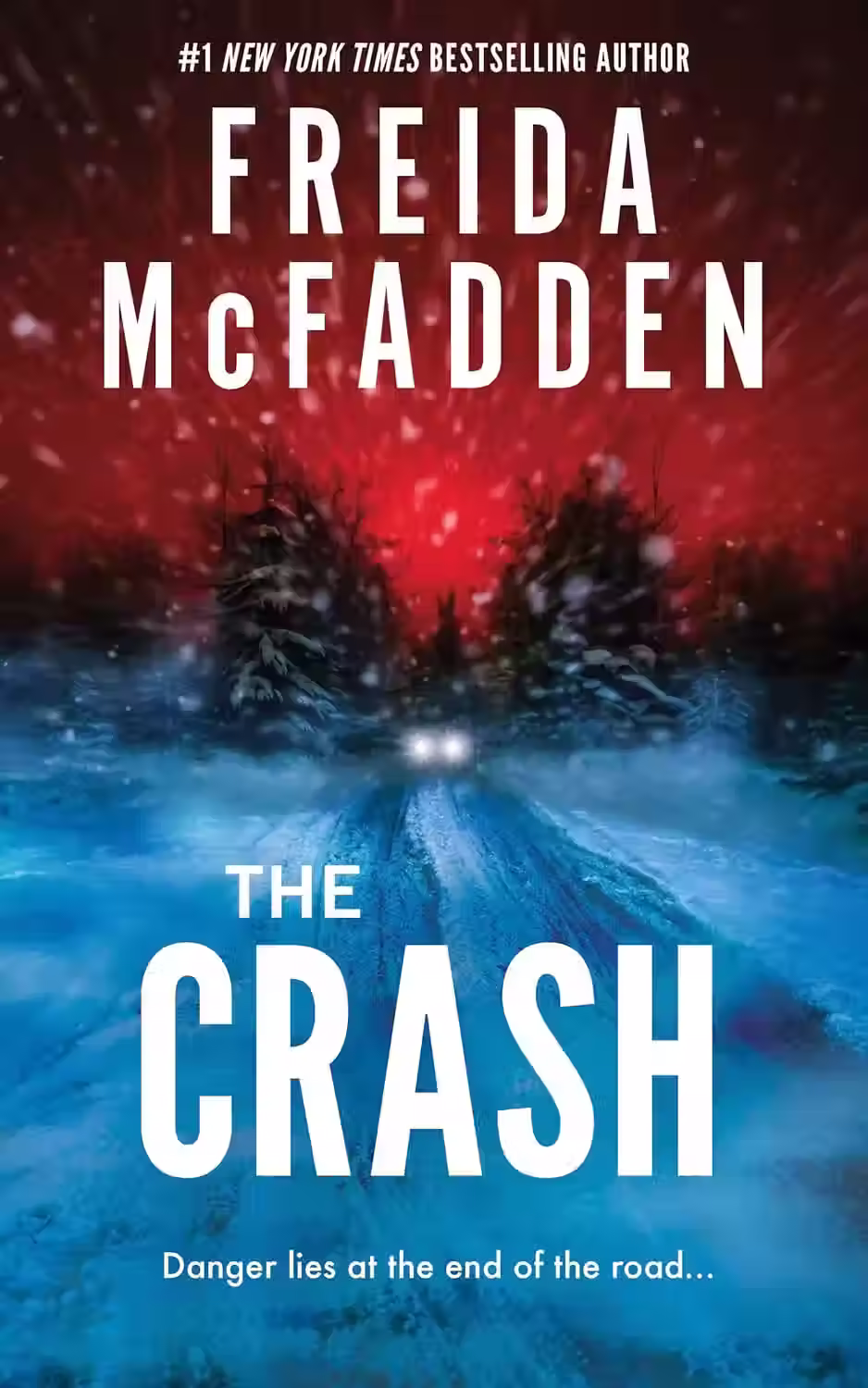 The Crash – Freida McFadden – In-Depth Book Analysis & Review