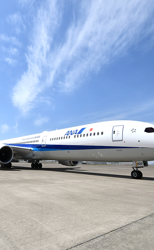 図1_飛行機.png