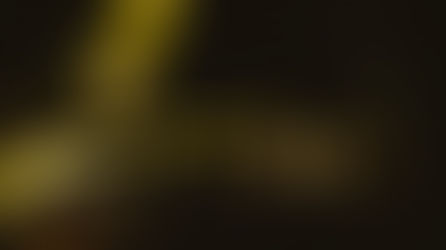 Galería Fotográfica deClap Your Hands Say Yeah en Chile 2025