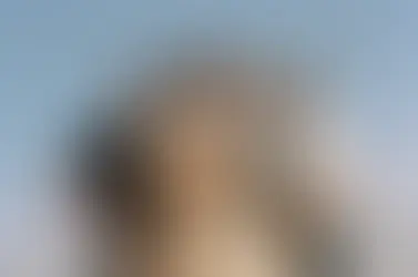 Rawayana en Chile marca un nuevo capítulo en una historia que ya suma nueve presentaciones