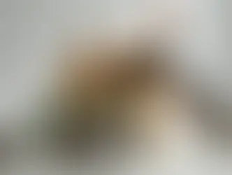 American Football: "No Feeling" la colaboración junto a Brendan Yates que redefine el emo contemporáneo