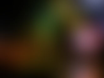 Galería Fotográfica Alesana en Chile 2026