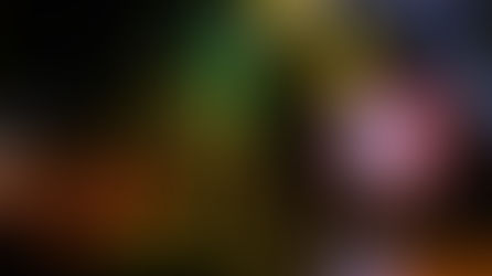 Galería Fotográfica Alesana en Chile 2026