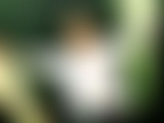 LANY en Chile: Confianza sustentada en la cercanía total