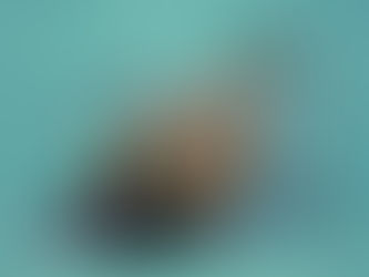 The Drums regresa a Chile: Fecha, lugar y venta de entradas