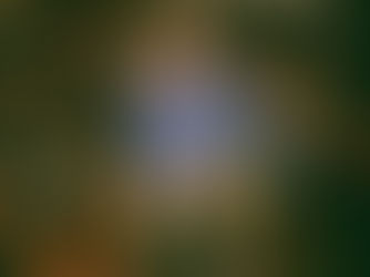 Mac DeMarco en Chile 2026: un reencuentro con su historia y evolución musical