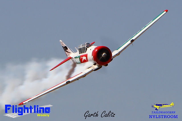 Taildraggers (12)