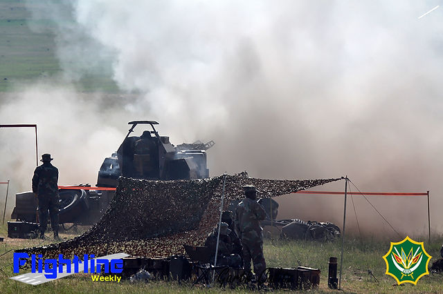 SANDF  (46)