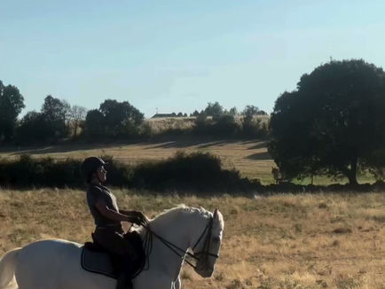 An afternoon in the countryside with Fito, Paul, and Max